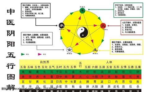 五行是哪五行|五行（中医术语）